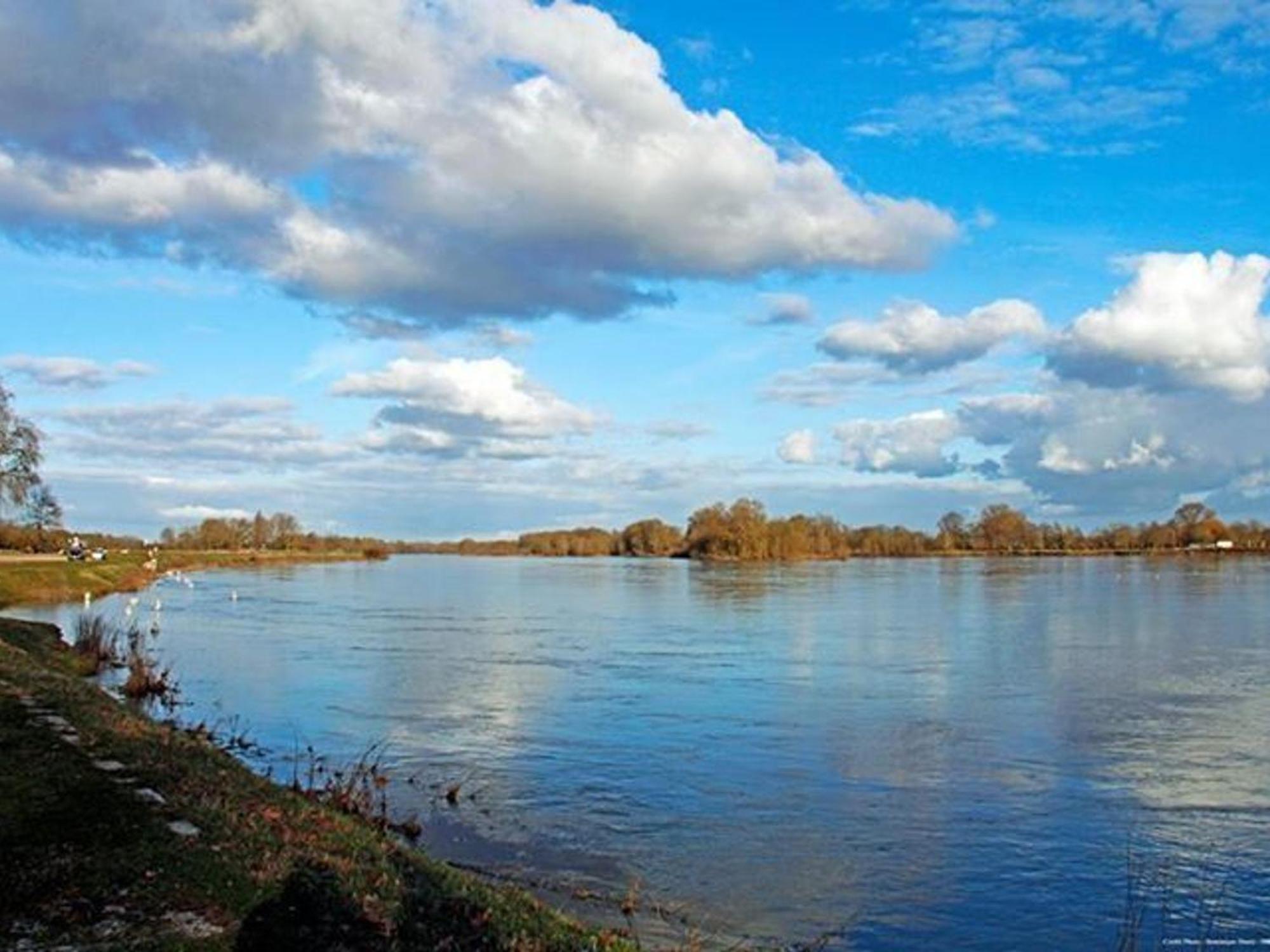 Charme Au Coeur Des Chateaux De La Loire Avec Wifi - Fr-1-590-305 Bed and Breakfast Tavers Buitenkant foto