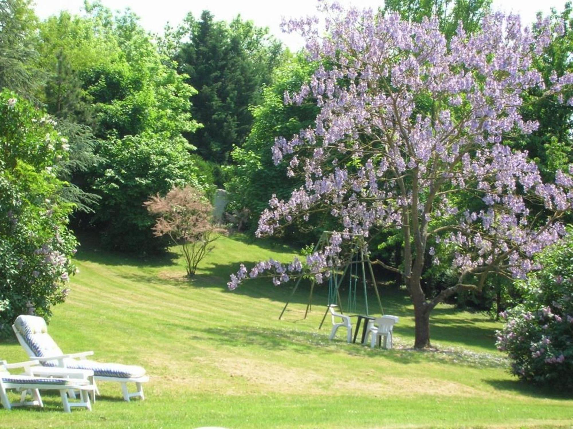 Charme Au Coeur Des Chateaux De La Loire Avec Wifi - Fr-1-590-305 Bed and Breakfast Tavers Buitenkant foto